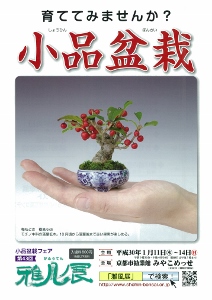 ◆終了◆ 第43回雅風展